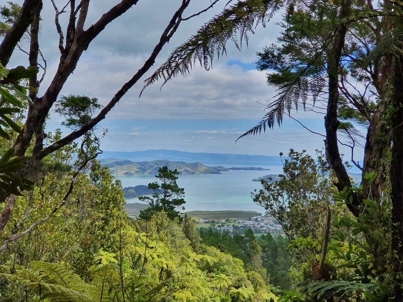 coromandel views