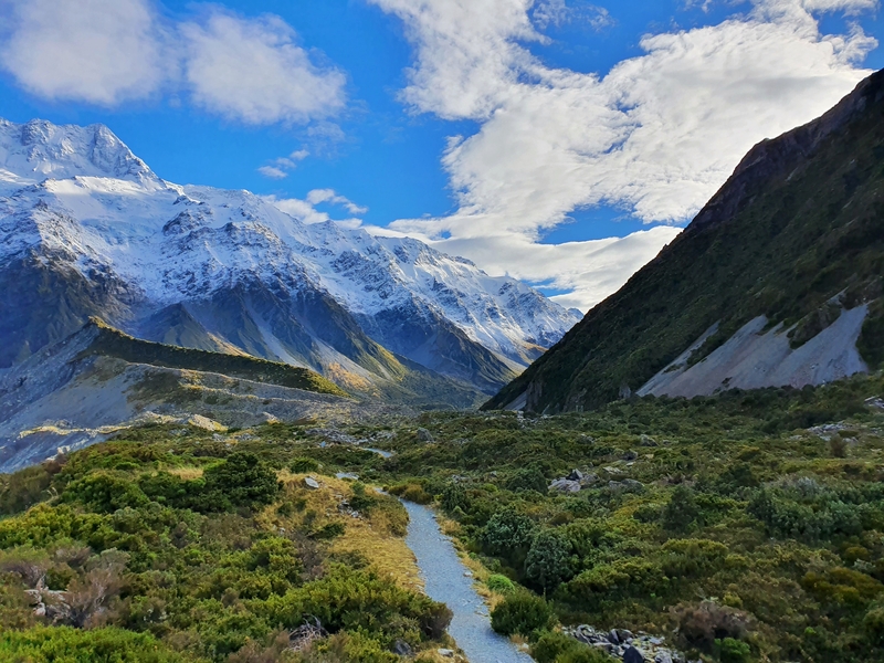 hooker valley track