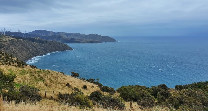 looking south from the makara walkway