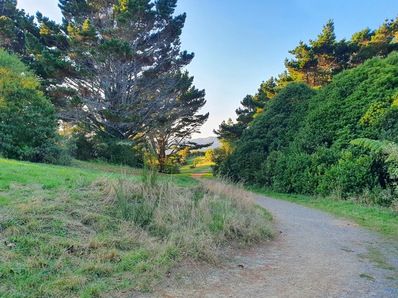 ridgeline track on Te Ahumairangi