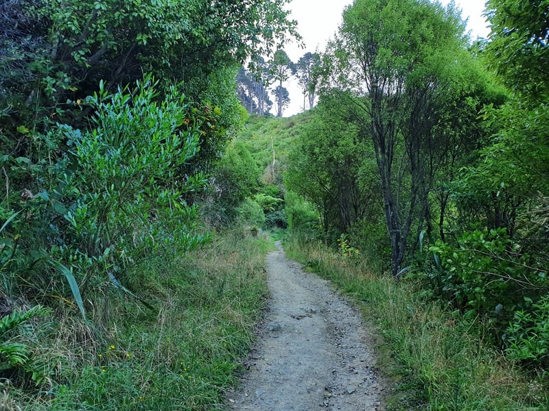 tinakori hill walk