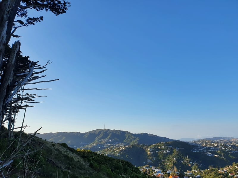 view of mount kaukau from Te Ahumairangi