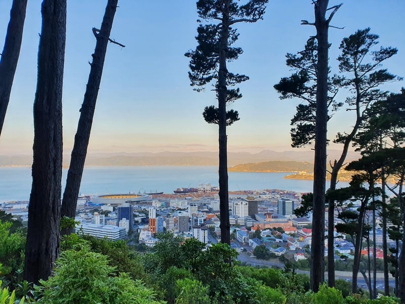 wellington sunset from Te Ahumairangi