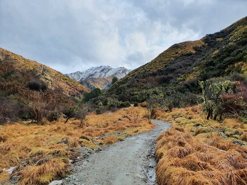 bush creek track in arrowtown