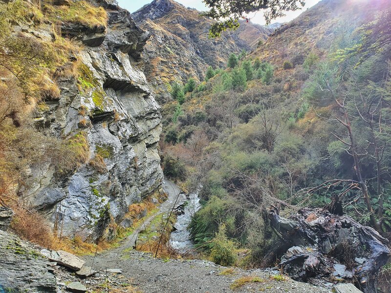 bush creek walk arrowtown