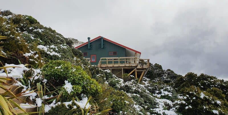 powell hut is one of the nicest overnight hikes near Wellington