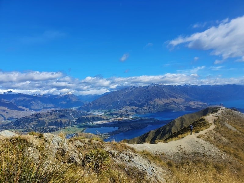 the roys peak track viewpoint