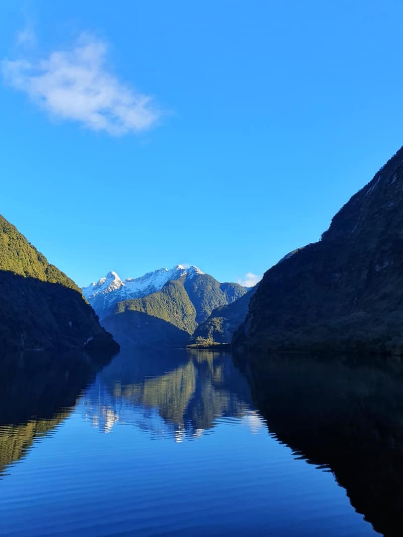 beautiful scenes from a doubtful sound cruise