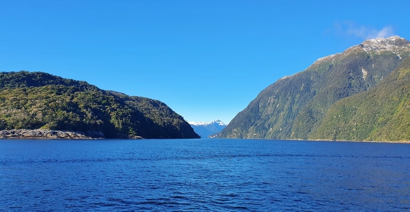 views over doubtful sound