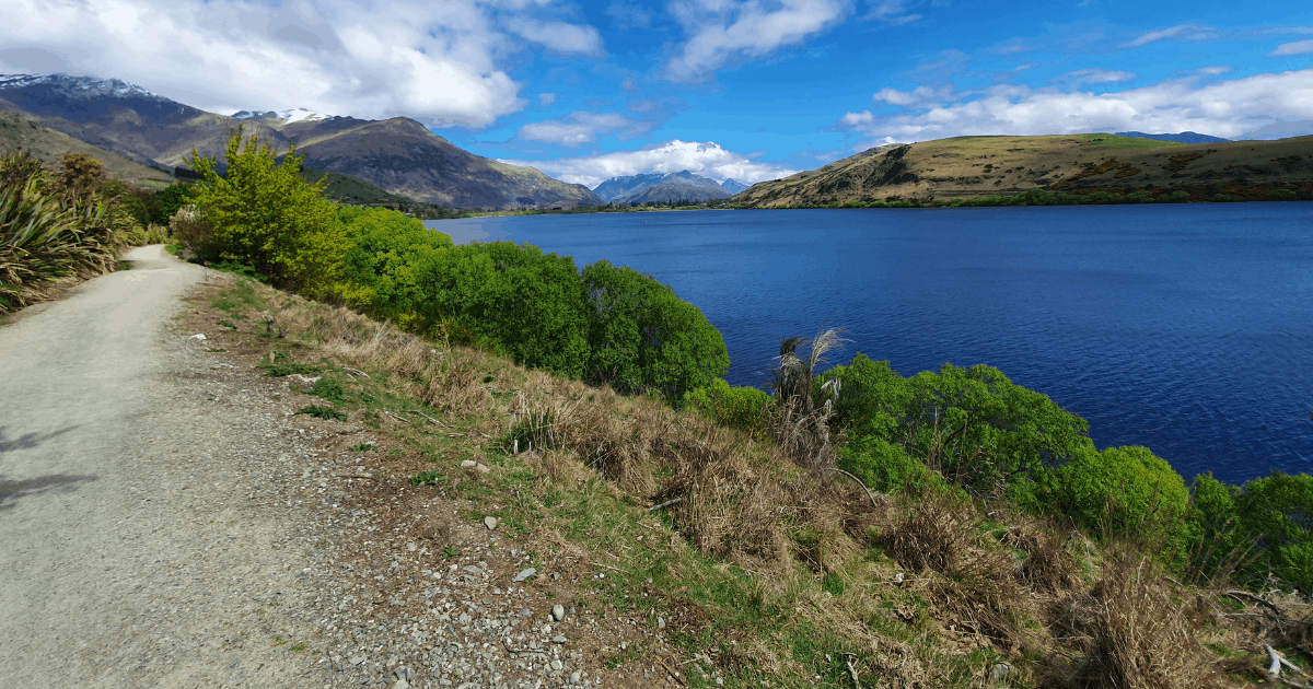 THE 8KM LAKE HAYES WALK | A BEAUTIFUL LOOP