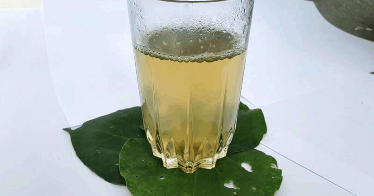 10 YUMMY NEW ZEALAND DRINKS YOU HAVE TO TRY