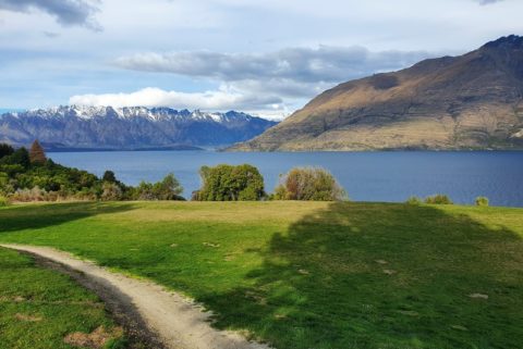 THE SEVEN MILE POINT TRACK WALK (6KM RETURN | NEAT)