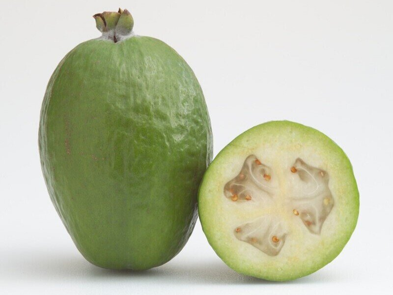 yummy and fun facts about feijoas