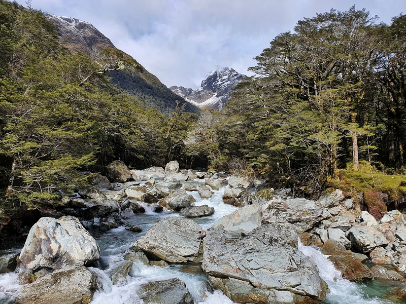 from a swingbridge on the routeburn track