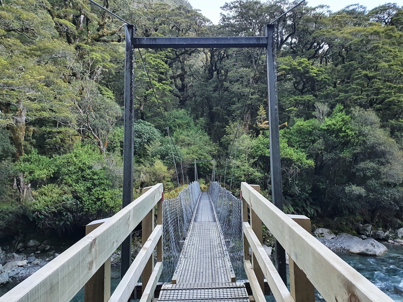 swingbridge over the hollyford river at the start of the lake marian track