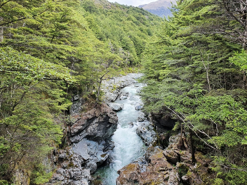 a river gorge on the greenstone river