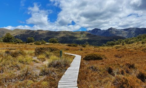 THE GREENSTONE CAPLES TRACK | AN AWESOME LOOP