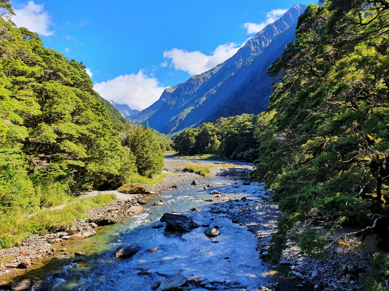 young river on the south island
