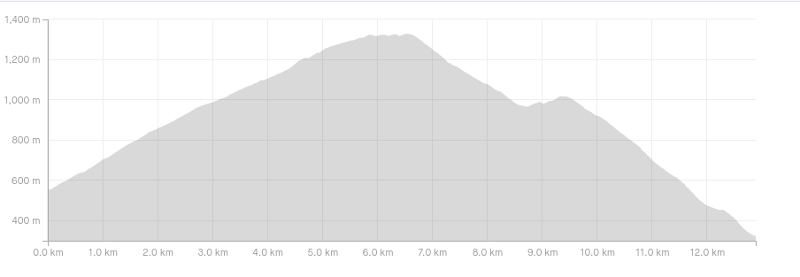 mt rosa track elevation profile