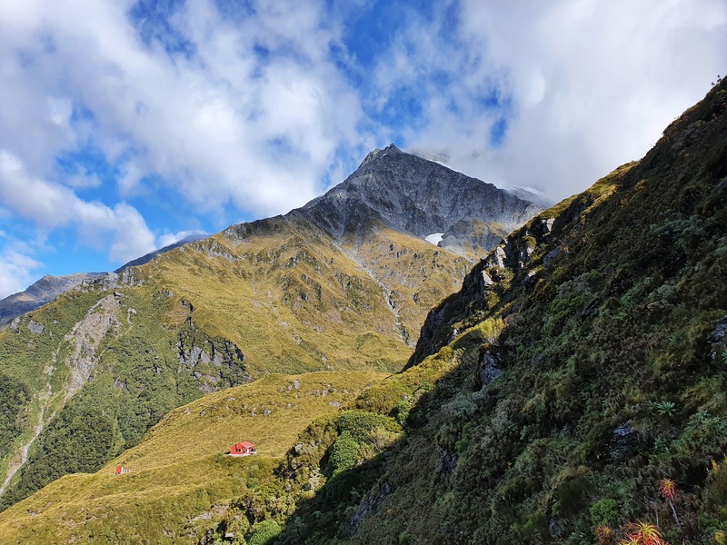 looking up from liverpool hut mount aspiring