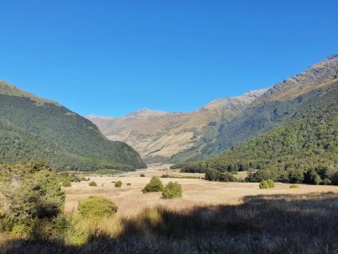 FRENCH RIDGE HUT: AN AWESOME OVERNIGHT TRACK
