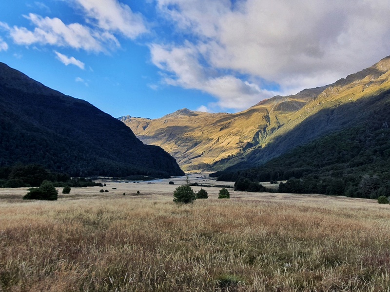 valley in mount aspiring national park
