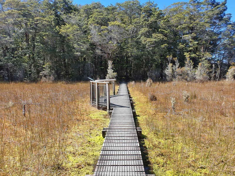 boardwalk over wetlands