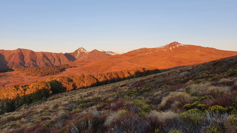 early sun on the kepler track