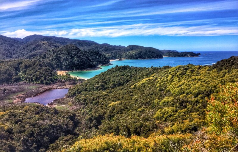 abel tasman track