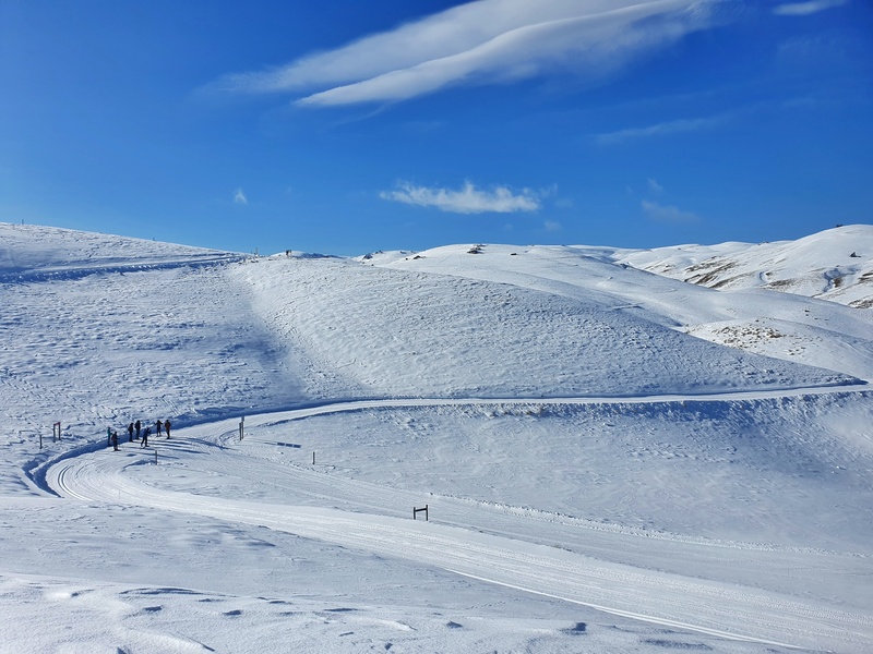 cross country ski fields at snow farm
