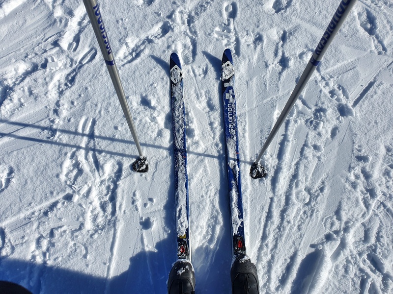 xc skis snow farm