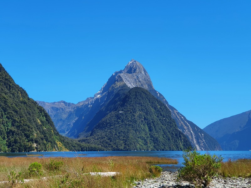 water in front of steep mountain peaks in milford sound with blue sky