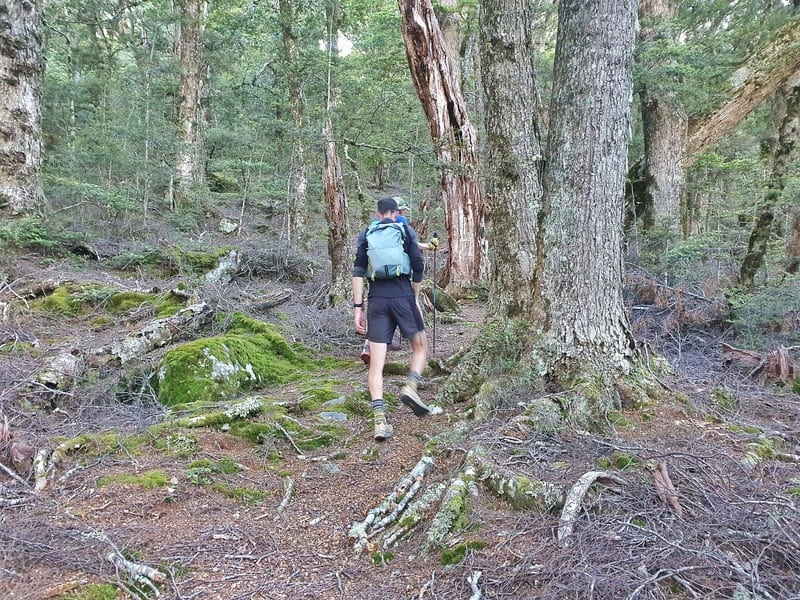 ascending mount shrumpton track