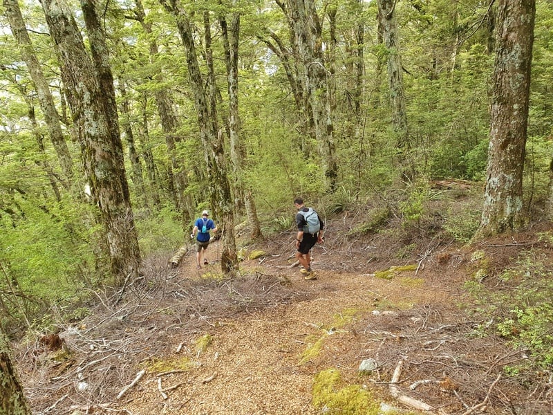 mount shrimpton track descent