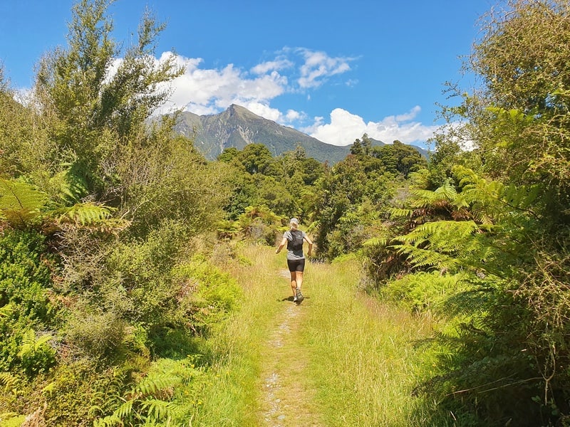 the copland track to welcome flat hut hike