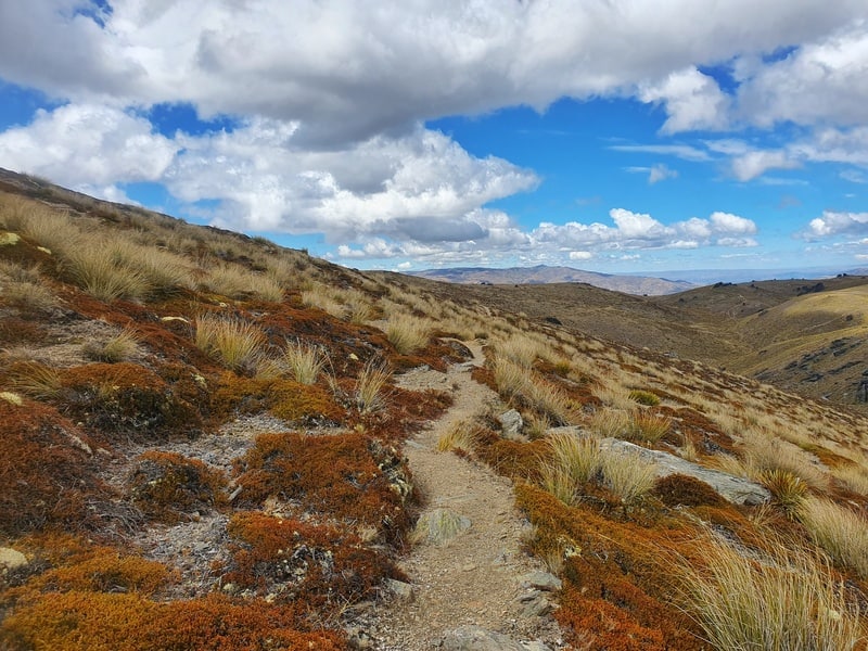 middle of the cardrona cromwell pack track