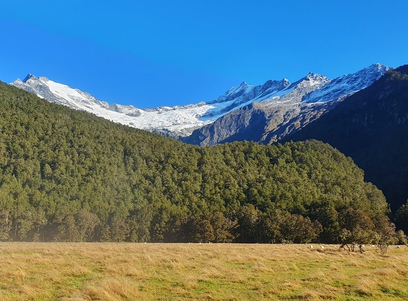 avalanche glacier mount aspiring national park