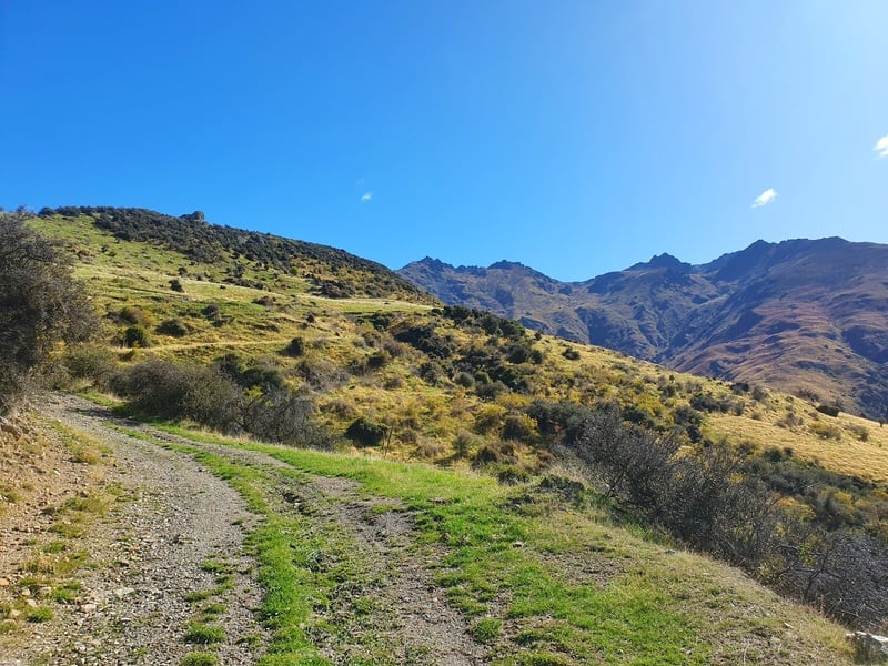 hiking up tinwald burn ridge track