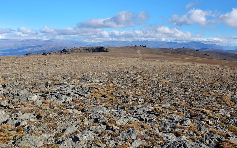 mount pisa range ridge track