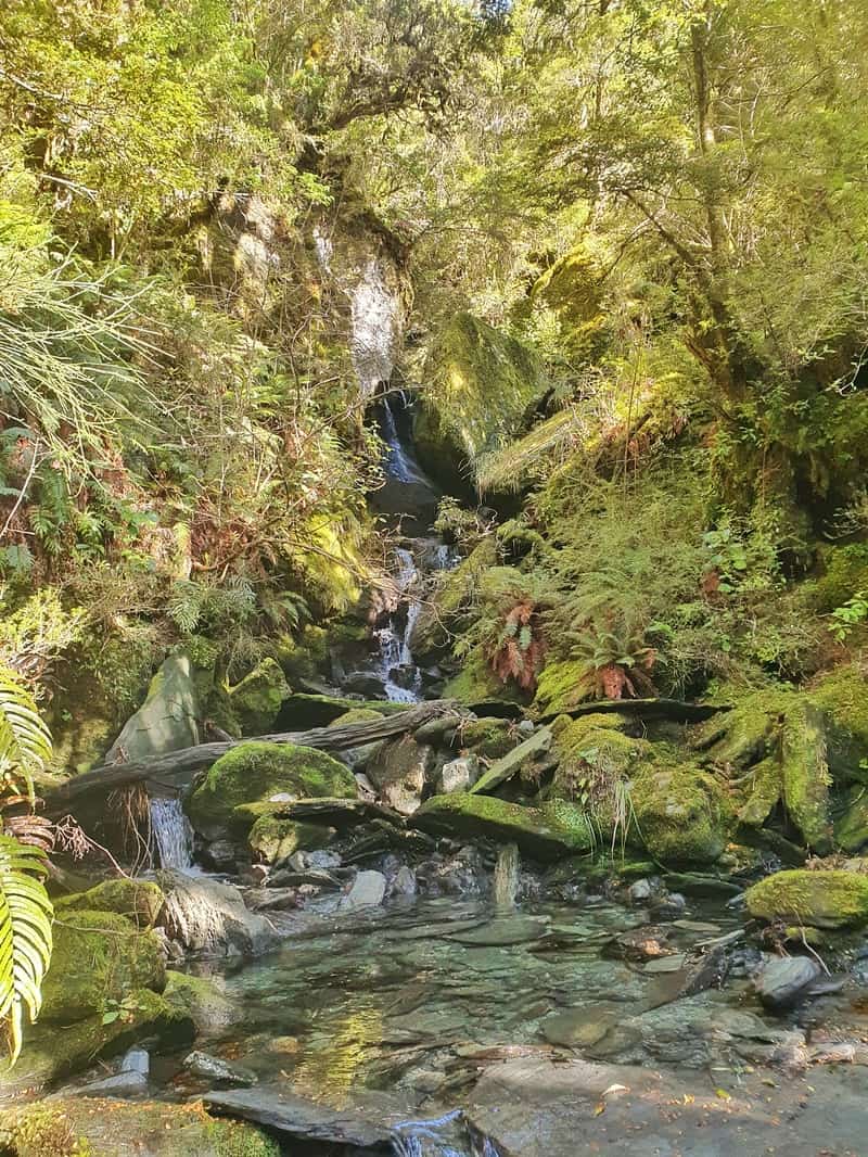 stream in mount aspiring national park