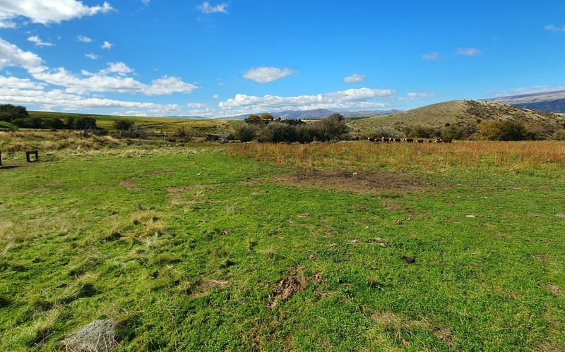 tinwald burn ridge track carpark