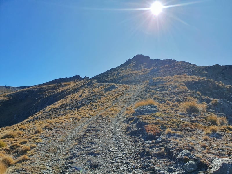 tinwald burn ridge track winding up the hill