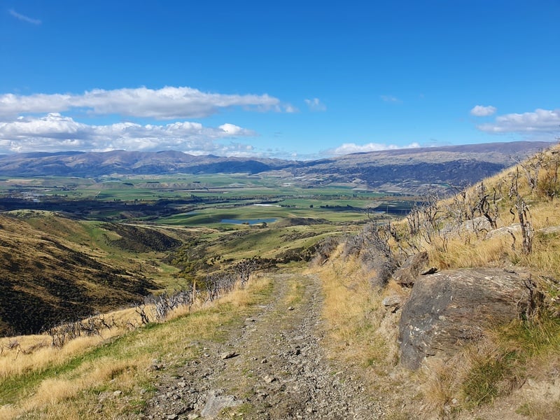 upper clutha basin views