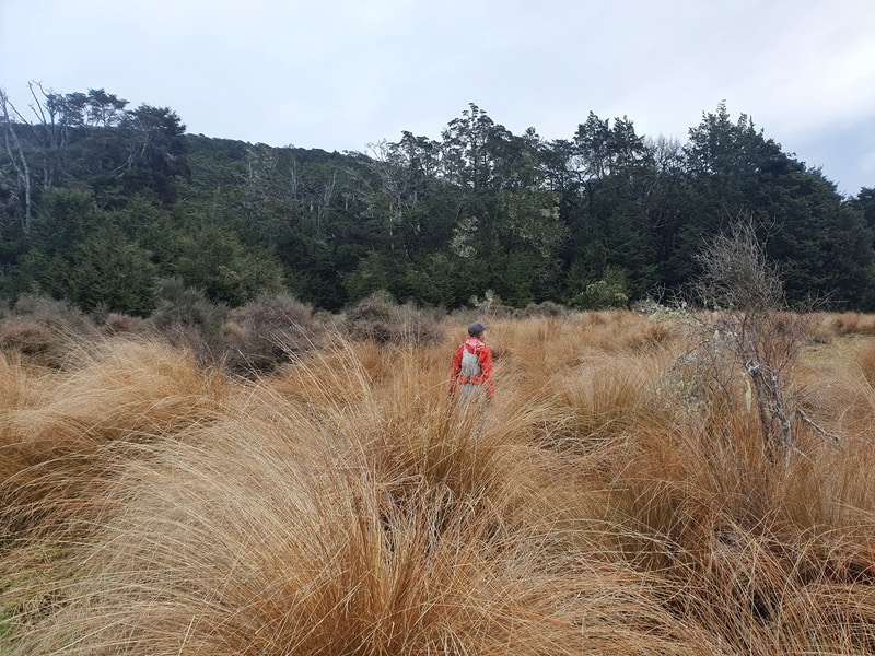 cruising the kiwi burn hut loop track