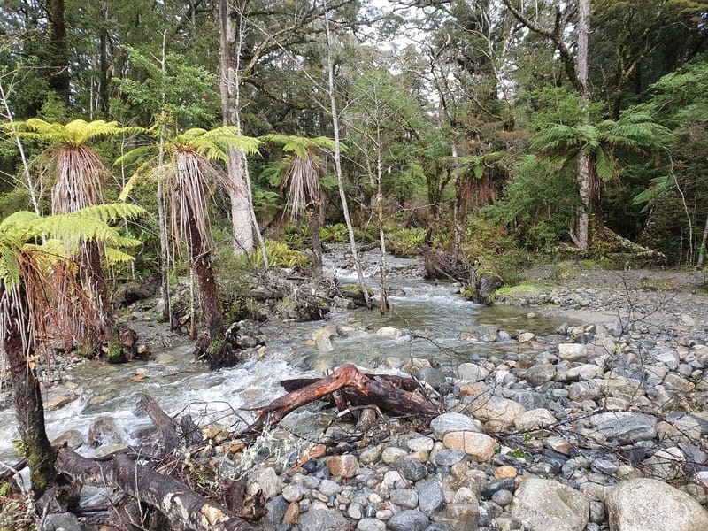 creek near rodger inlet hut
