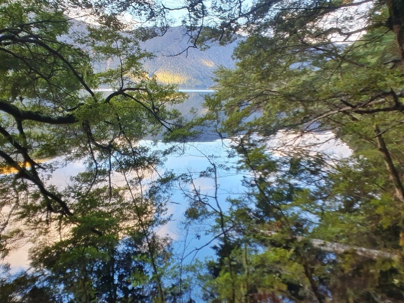 lake monowai reflections