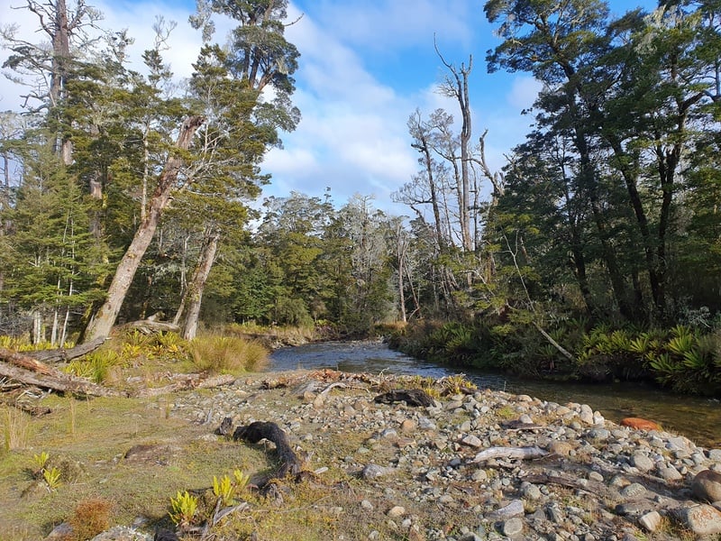 walker river near borland