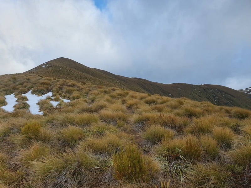 hiking in the mountains above lake monowai via the rodger inlet bushline track