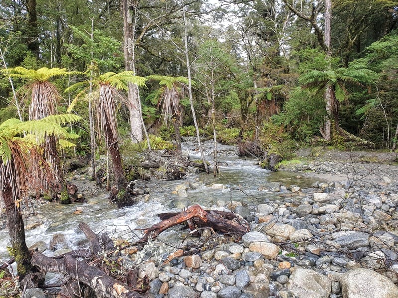 stream by rodger inlet hut