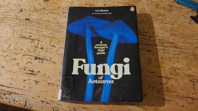 fungi of aotearoa book cover